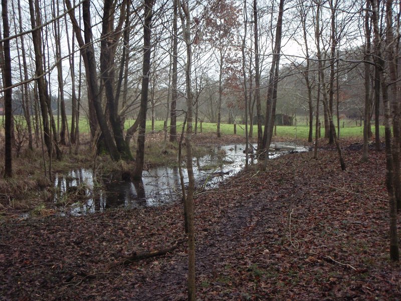 CTF-Kattendorf Helmut 031